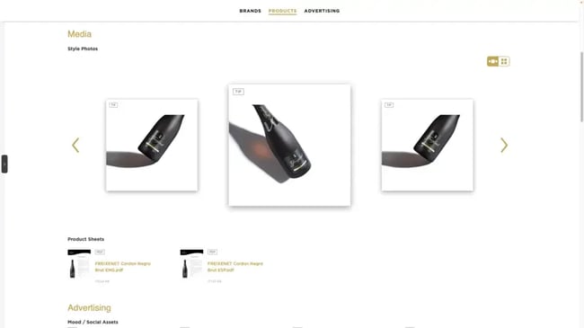 The Always-On - Digital Platform- The Henkell Freixenet Group's B2B Platform for Providing Content and Information